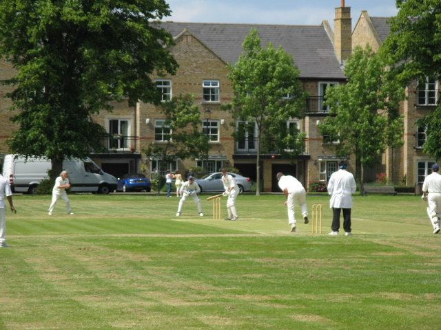 A village cricket match