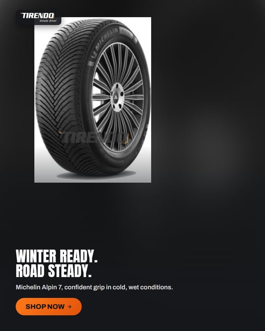 Michelin Alpin 7